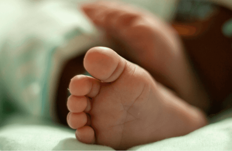 Foto de capa da notícia Defender a vida sempre: CNBB manifesta preocupação com decisões judiciais sobre o aborto