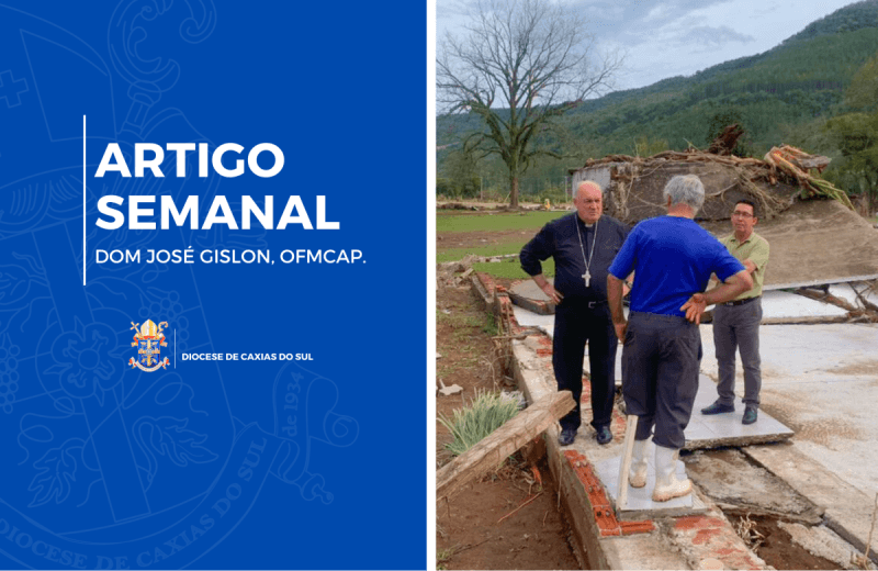 Foto de capa da notícia Solidariedade, proximidade e participação