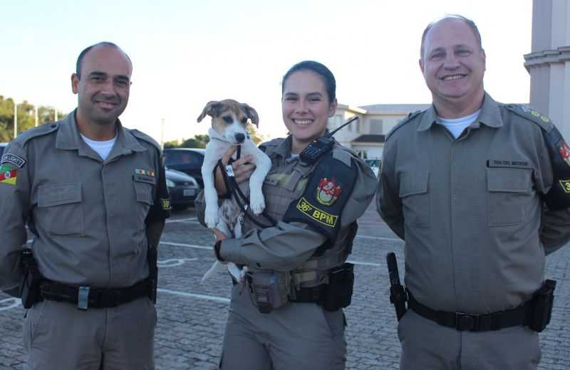 Foto de capa da notícia Conheça o cãozinho Recruta e os cuidados com os petz para a 143ª Romaria ao Santuário de Caravaggio